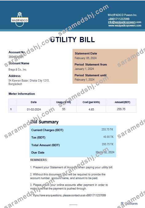 BANGLADESH WAZIPADICO POWER business utility bill Word and PDF template